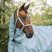 Bucas Halfter Dublin Fohlen Turquoise