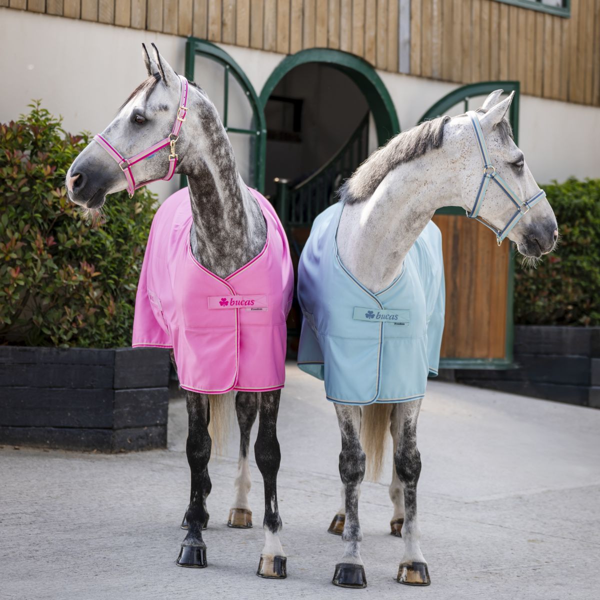 Bucas Freedom Twill Sheet 0g Turquoise