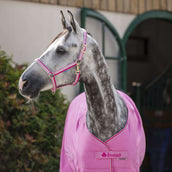 Bucas Halfter Dublin Aurora Pink