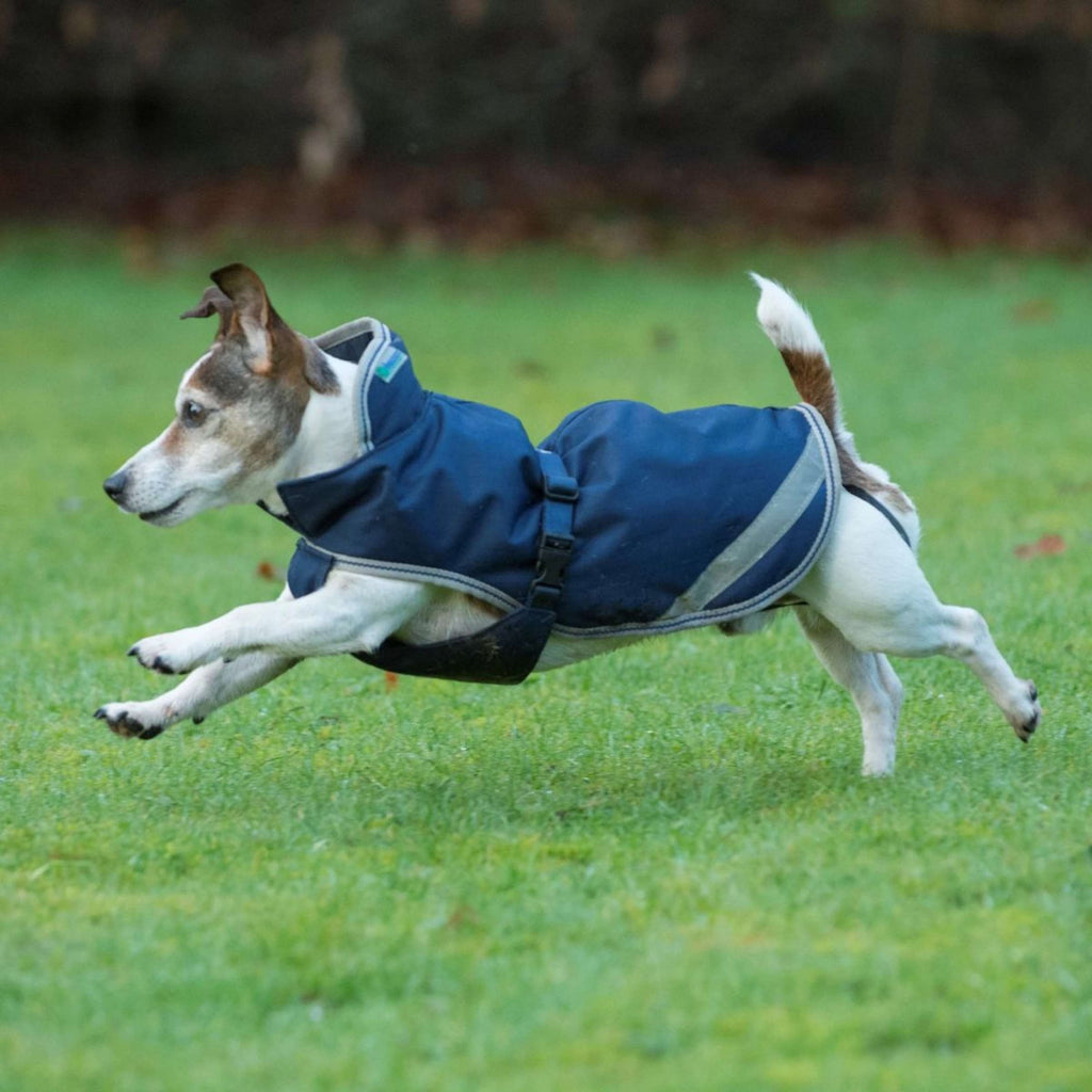 Bucas Freedom Dog Rug 50g Navy
