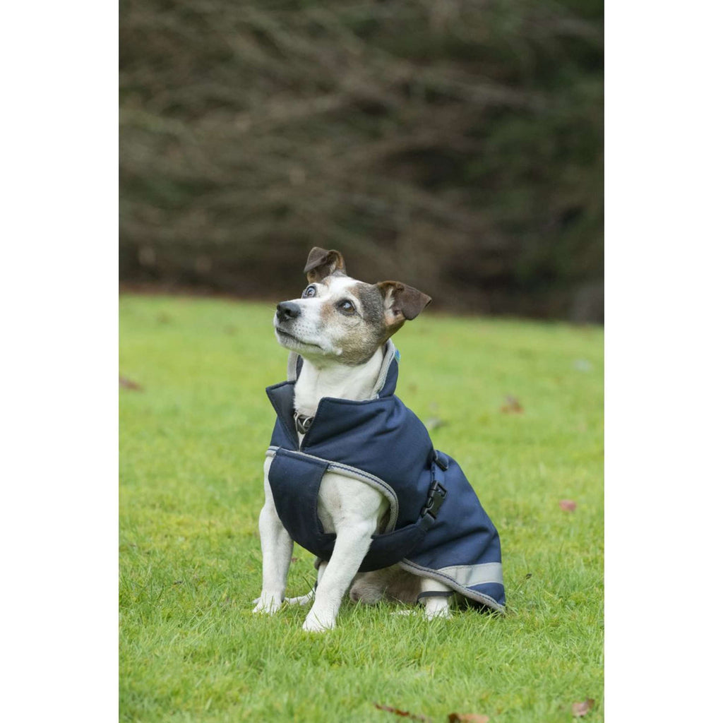Bucas Freedom Dog Rug 50g Navy