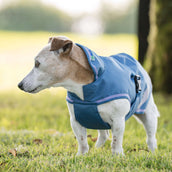 Bucas Freedom Dog Rug Blueberry