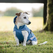 Bucas Freedom Dog Rug Blueberry