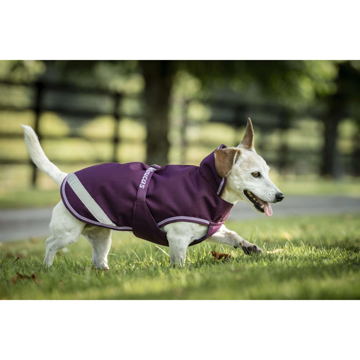 Bucas Freedom Dog Rug 300g Blackberry
