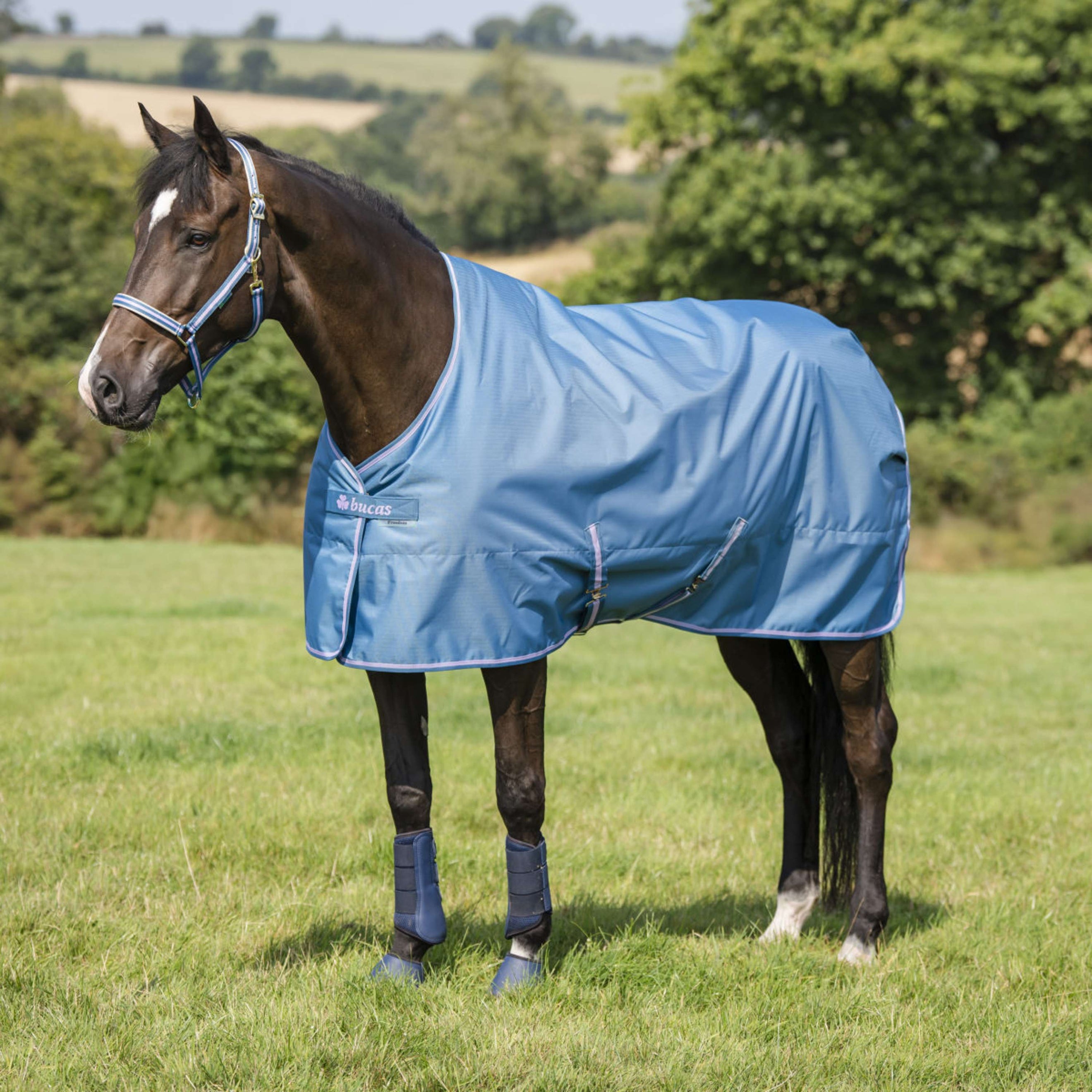 Bucas Freedom Turnout Light 0g Blueberry