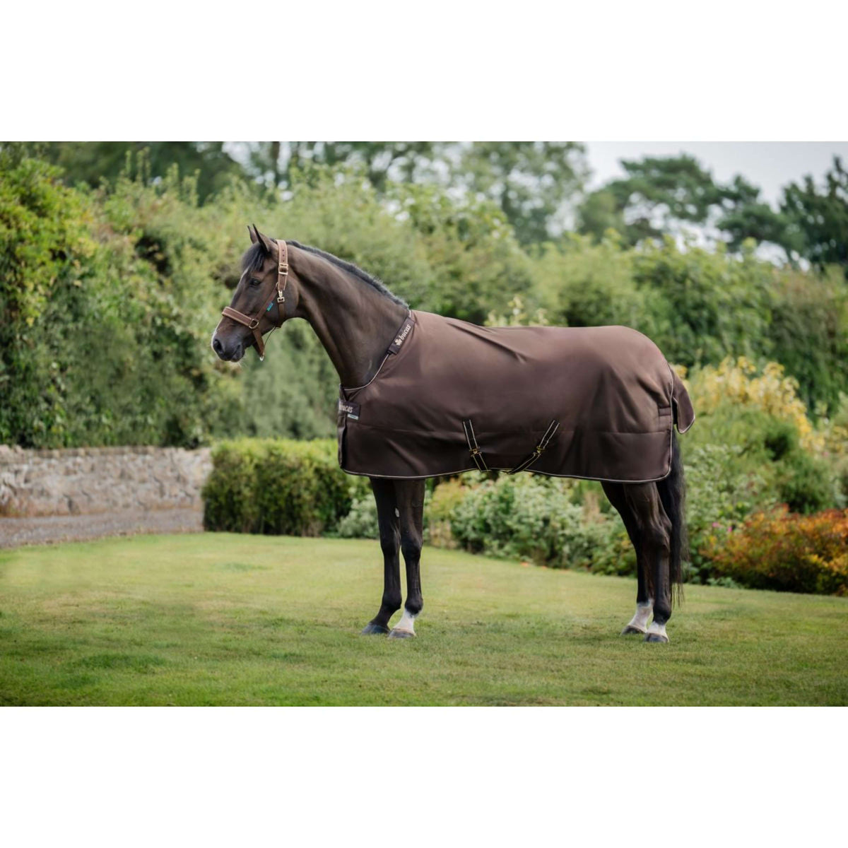 Bucas Irish Turnout 50g + Neck Espresso