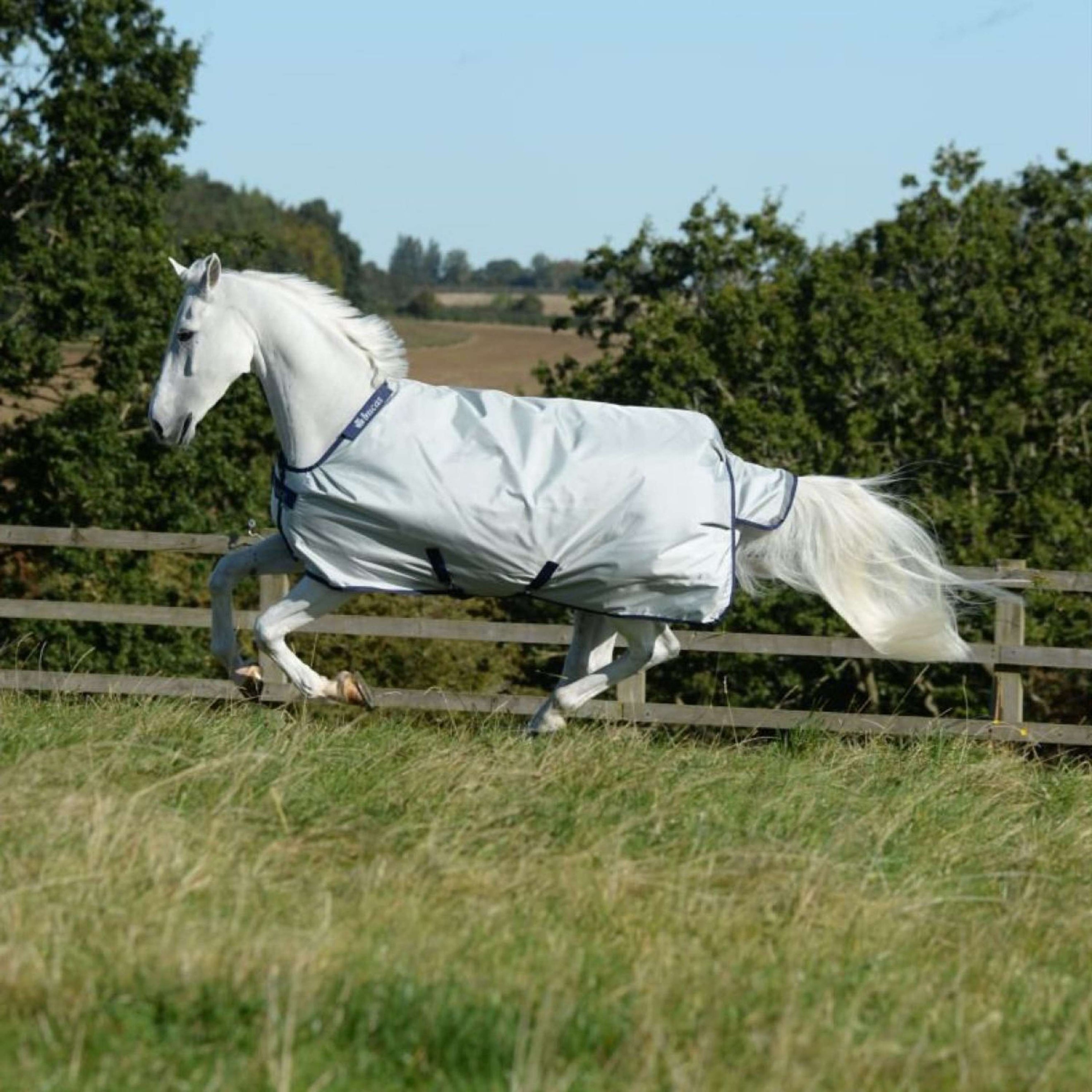 Bucas Turnout Power Medium 150g Silber Bucas Turnout Power Medium 150g Silber