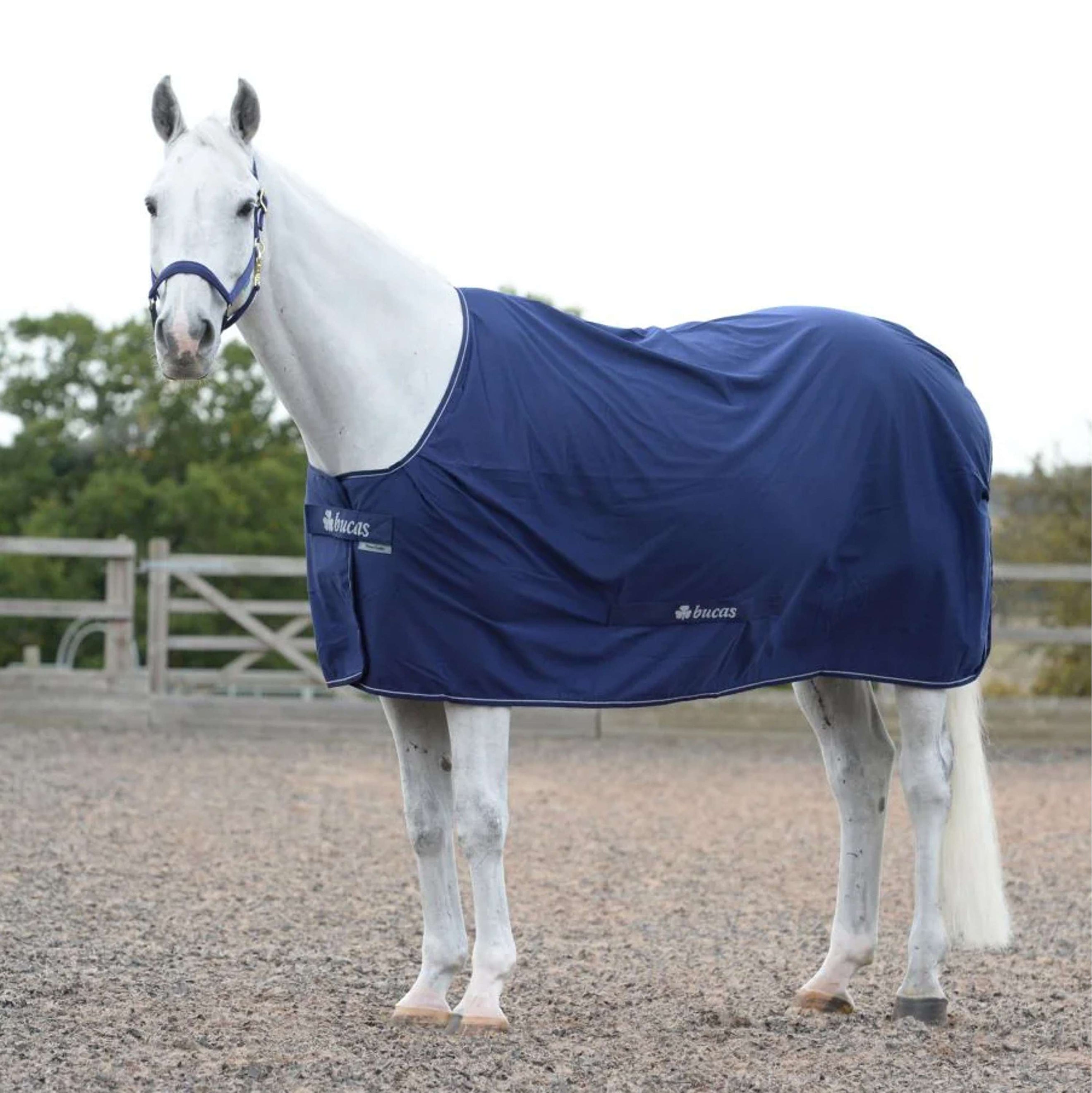 Bucas Power Cooler Navy/Silber Bucas Power Cooler Navy/Silber