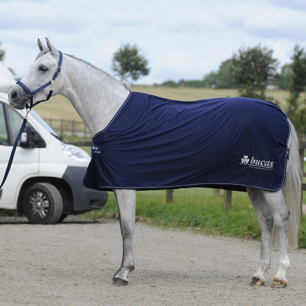 Bucas Prize Cooler Navy/silber Bucas Logo