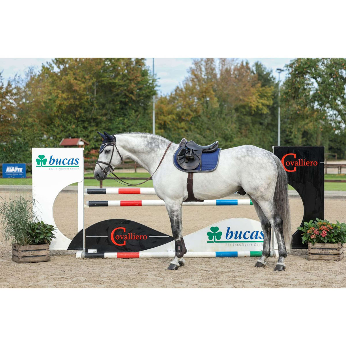 Bucas Schabracke Show-Line Dressur Marine/Grau