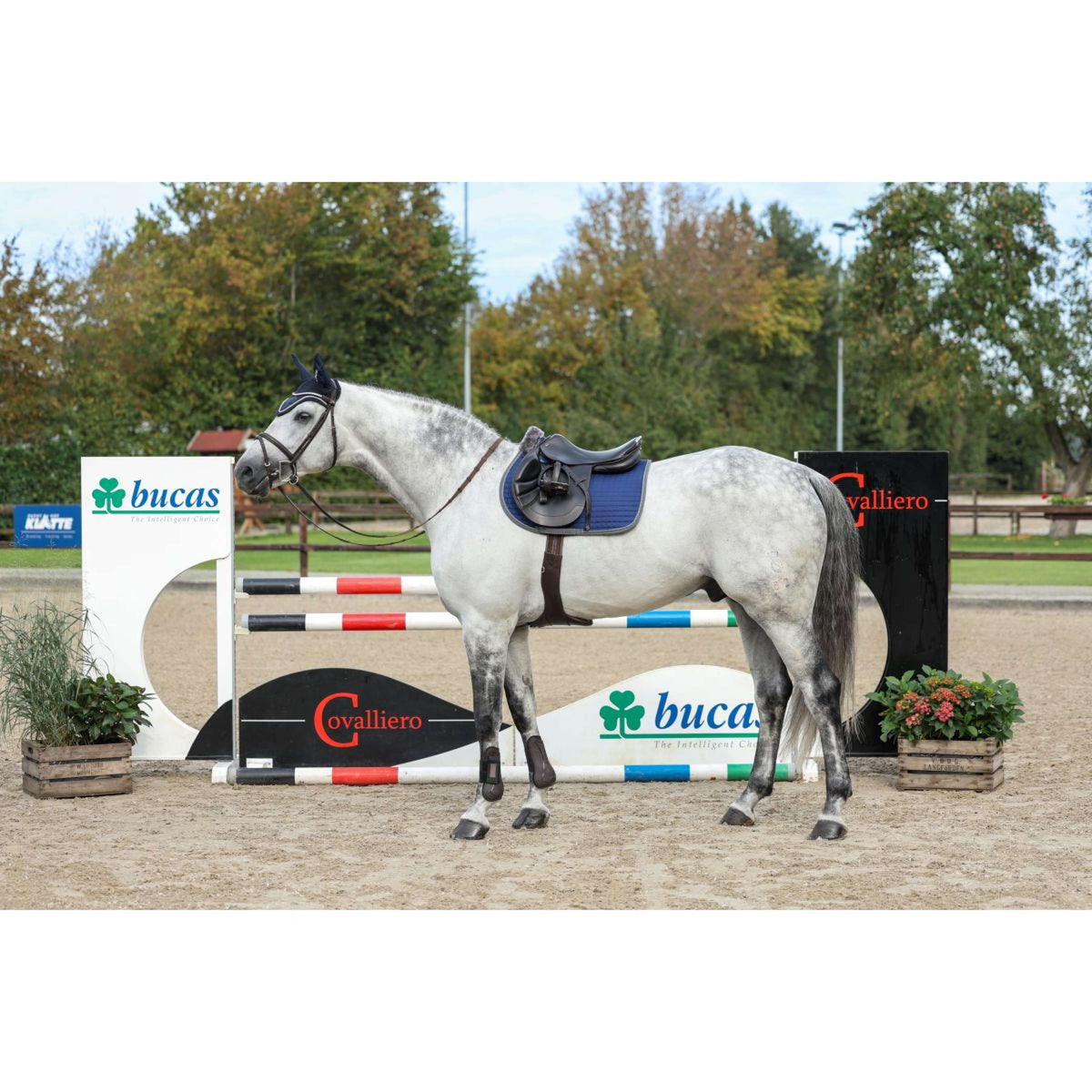 Bucas Schabracke Show-Line Dressur Marine/Grau