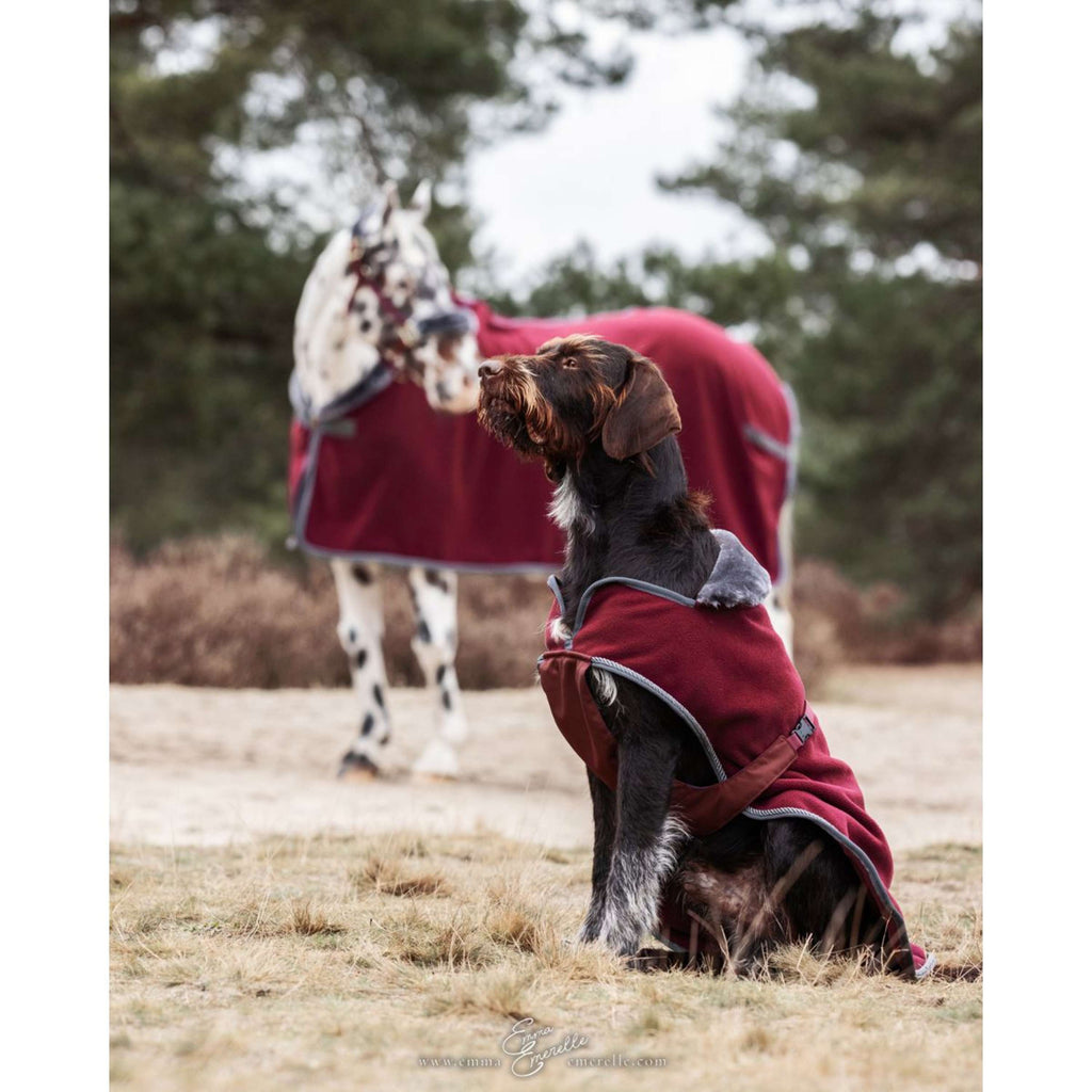 Bucas Hundedecke Show-Line Burgundy/Grau