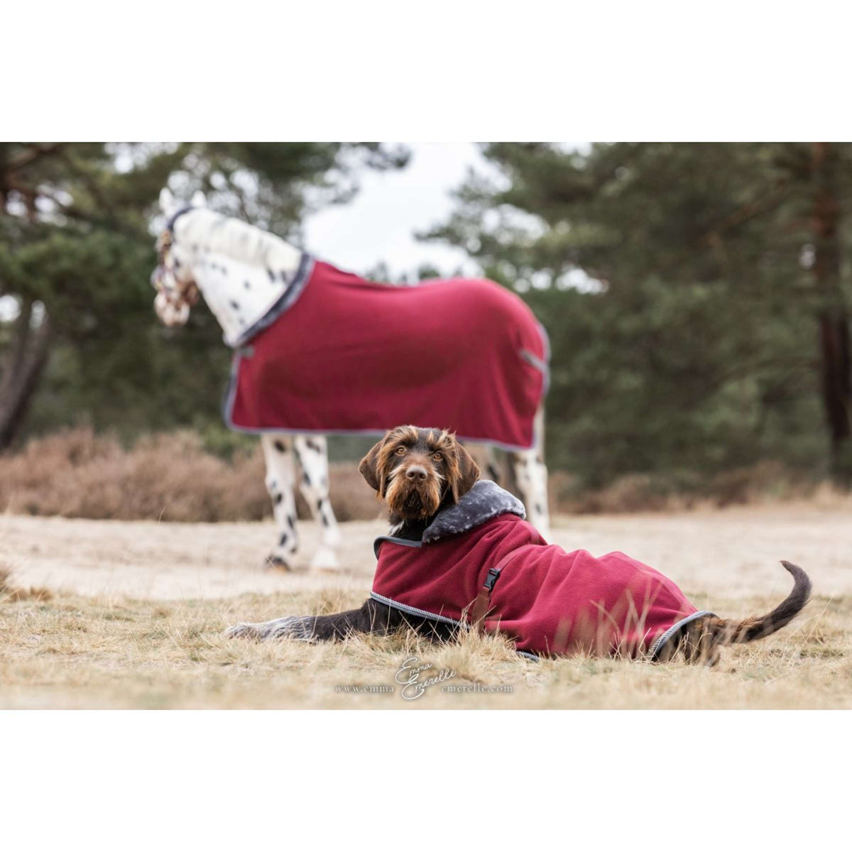 Bucas Hundedecke Show-Line Burgundy/Grau