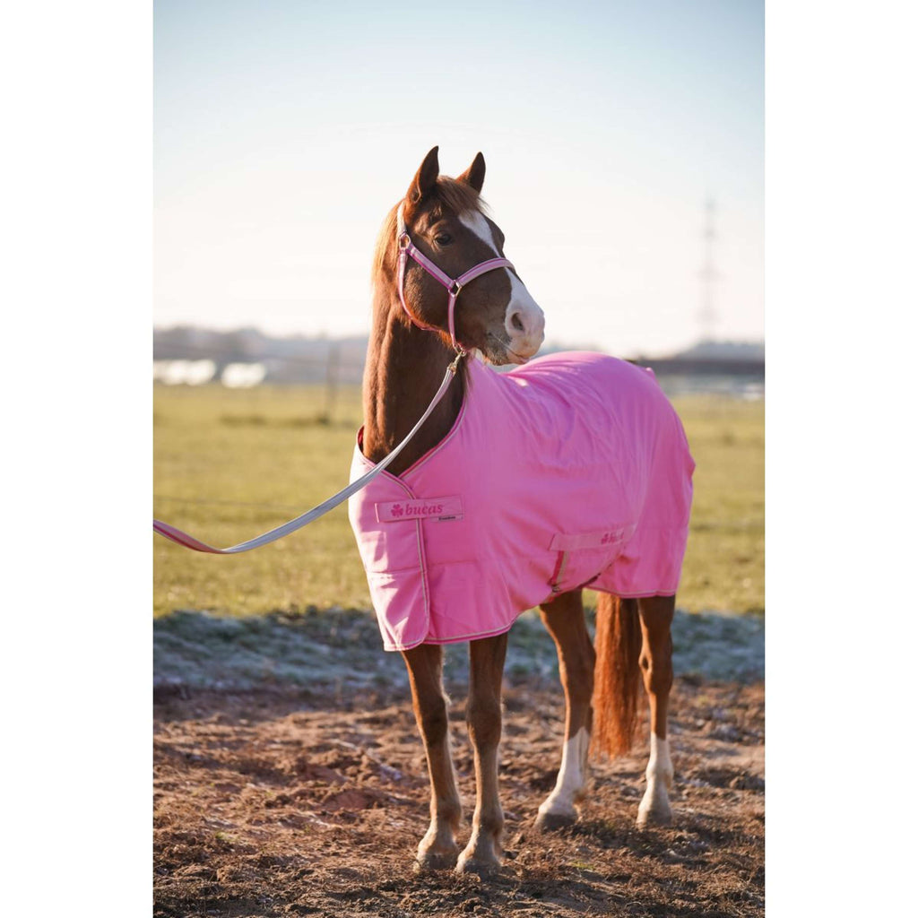 Bucas Freedom Turnout Light 0g Aurora Pink