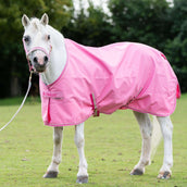 Bucas Freedom Turnout Light 0g Aurora Pink