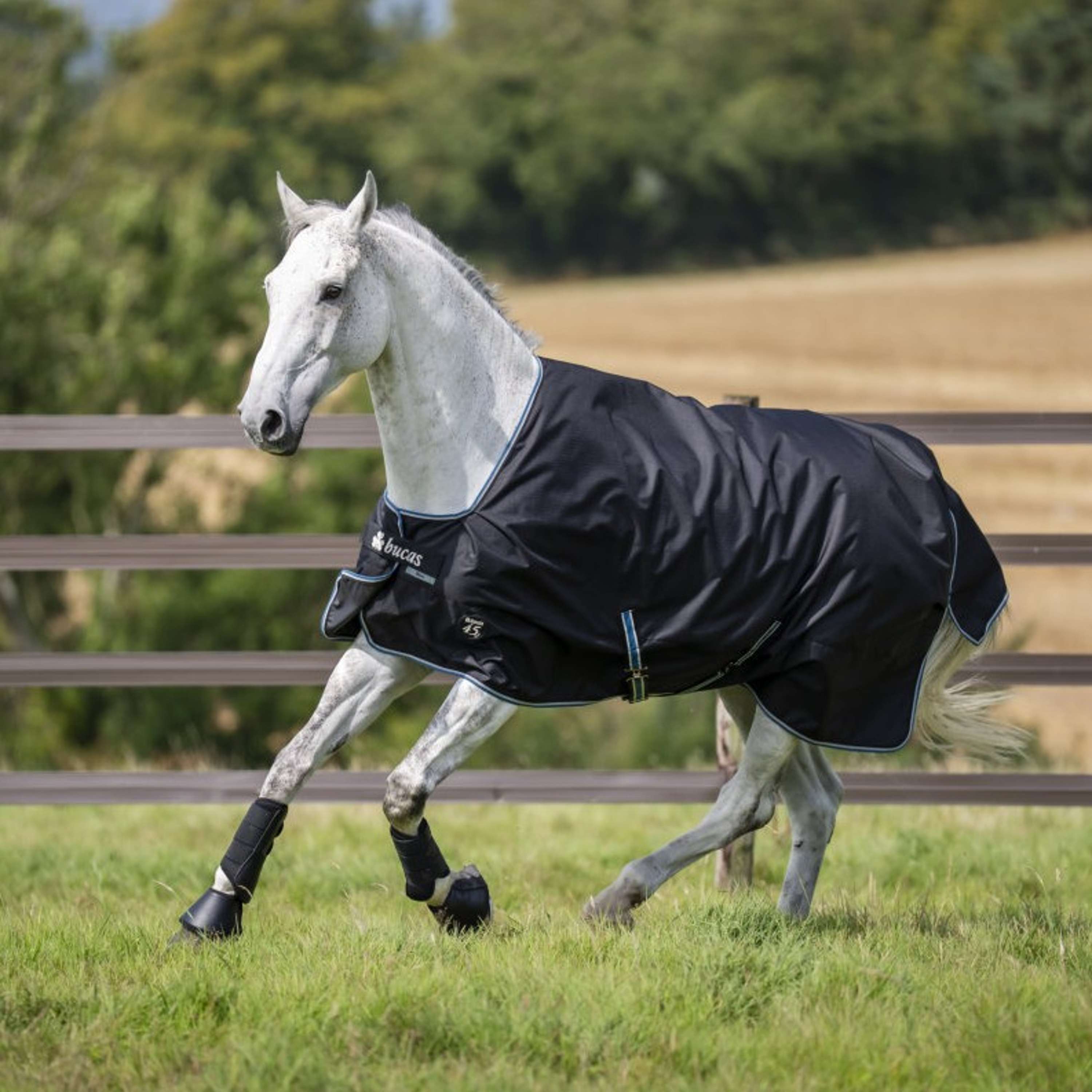 Bucas Anniversary Turnout Stay-dry 150g Sapphire