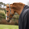 Bucas Anniversary Halfter Dublin Sapphire