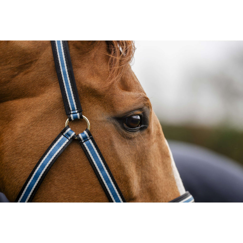 Bucas Anniversary Halfter Dublin Sapphire