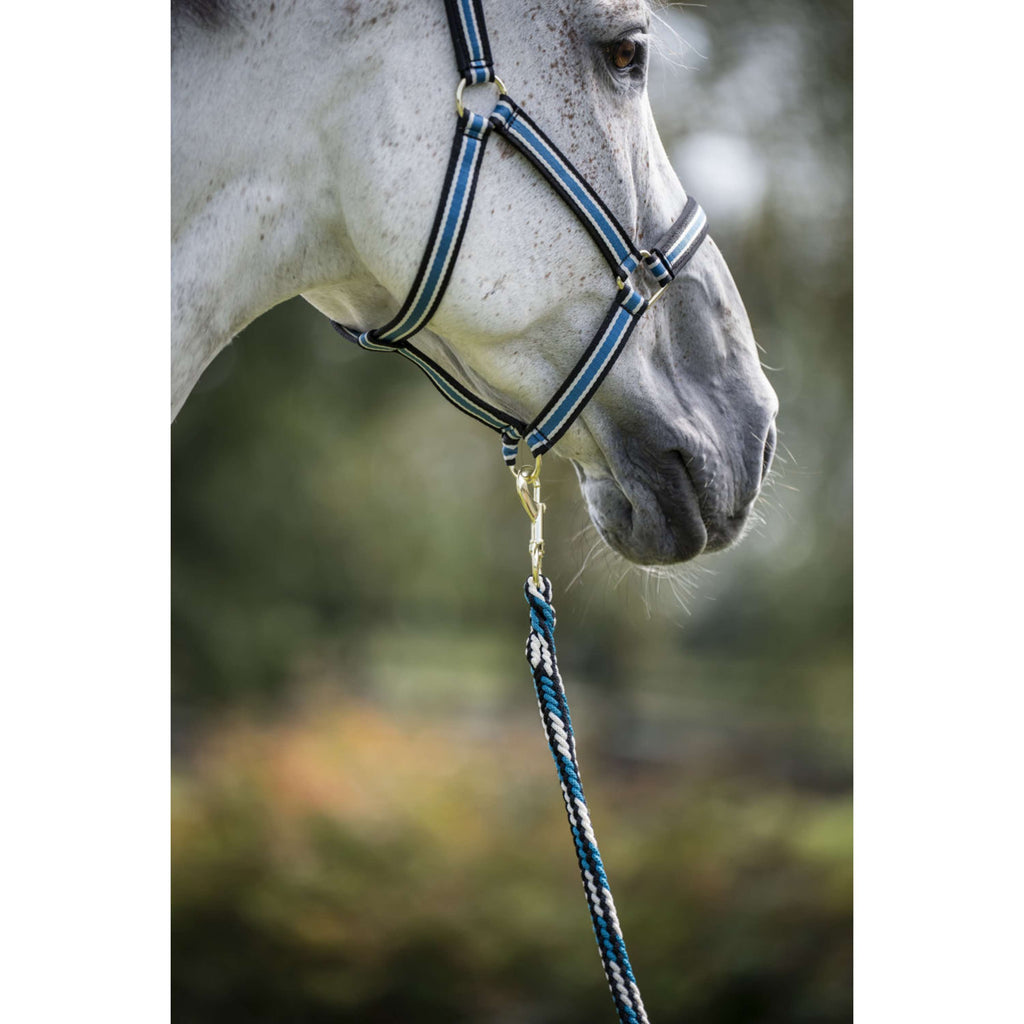 Bucas Führstrick Comfort mit Karabinerhaken Sapphire