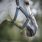 Bucas Anniversary Halfter Dublin Sapphire