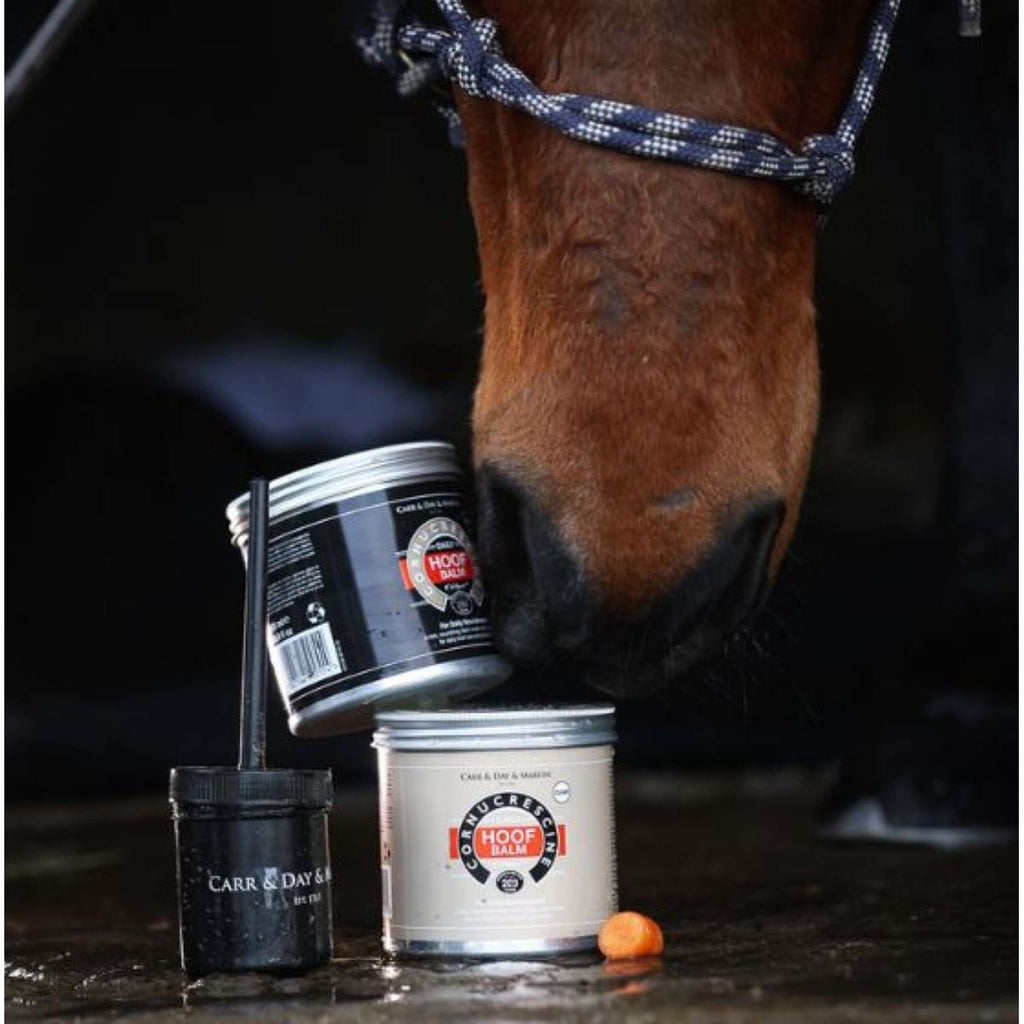 Carr & Day & Martin Cornucrescine Hoof Balm Clear