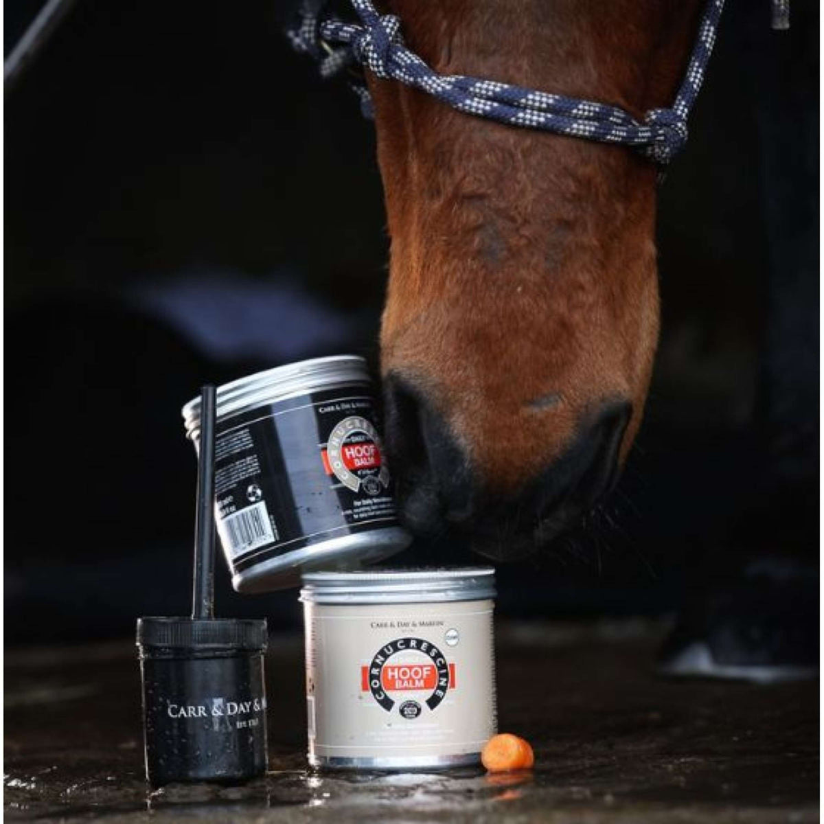 Carr & Day & Martin Cornucrescine Hoof Balm Black