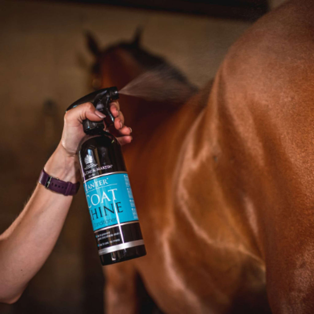 Carr & Day & Martin Glanzspray Canter Coat Shine