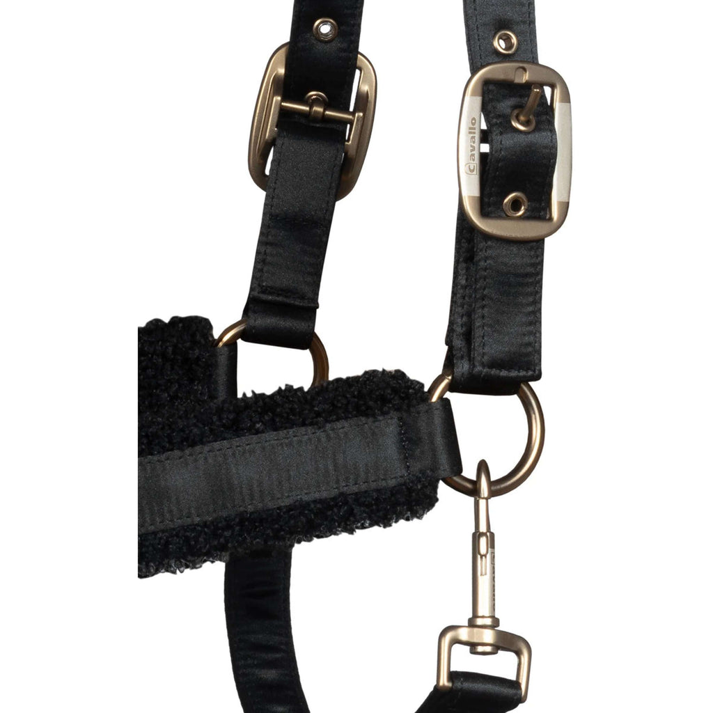 Cavallo Halfter Cavallidi Schwarz