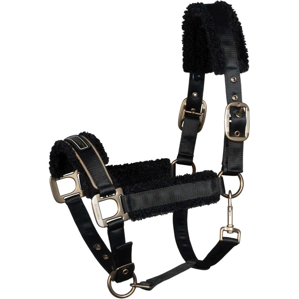 Cavallo Halfter Cavallidi Schwarz