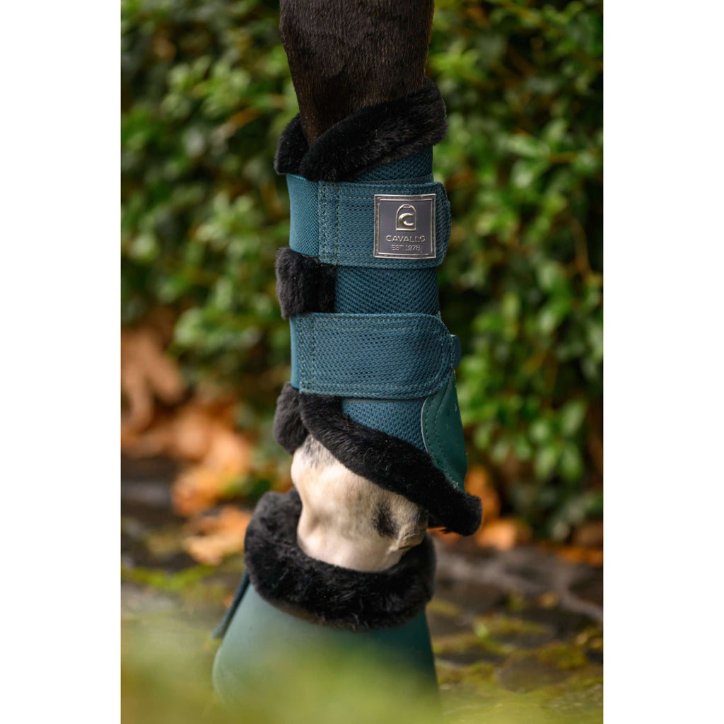 Cavallo Hufglocken CavalJodi Dark Peacock