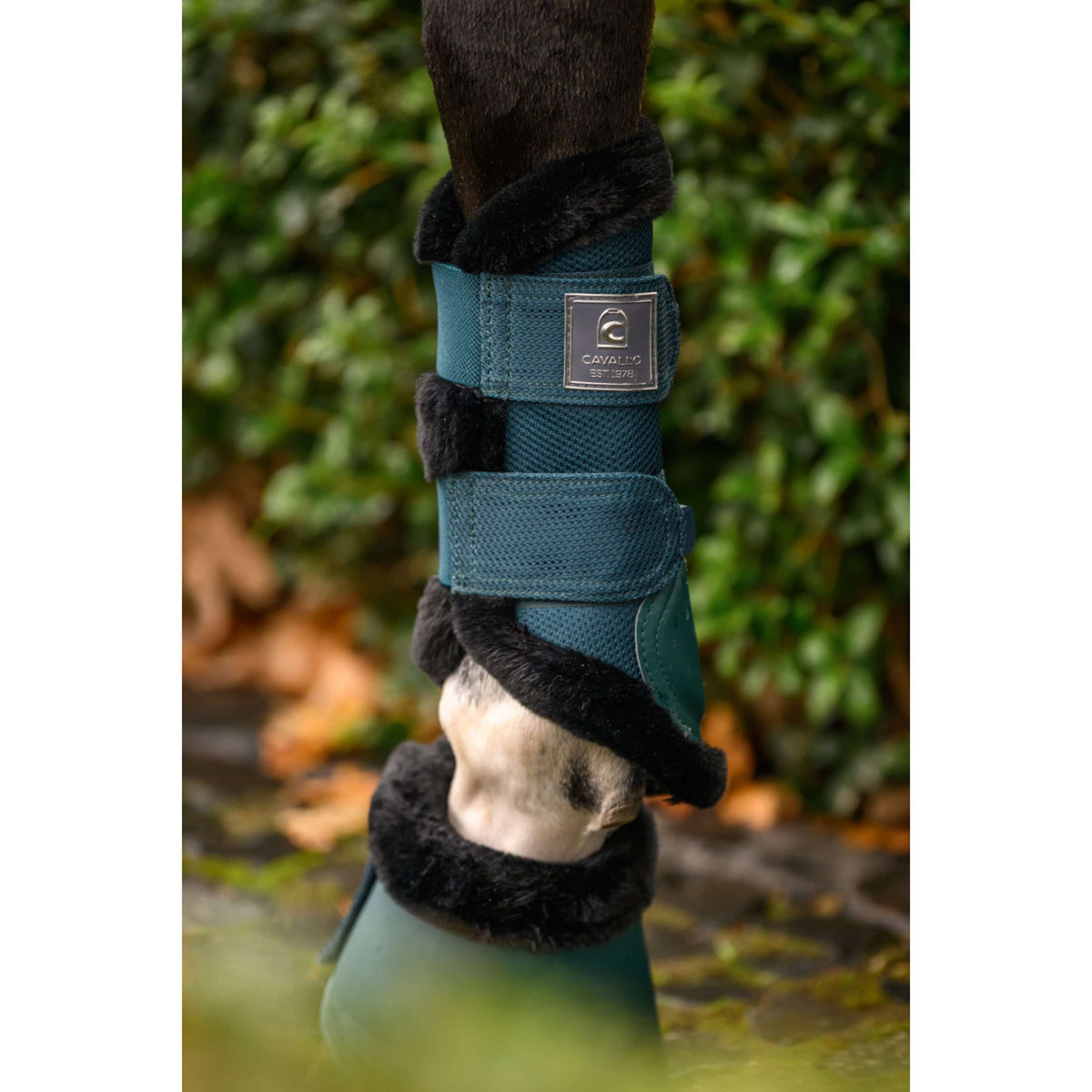 Cavallo Hufglocken CavalJodi Dark Peacock