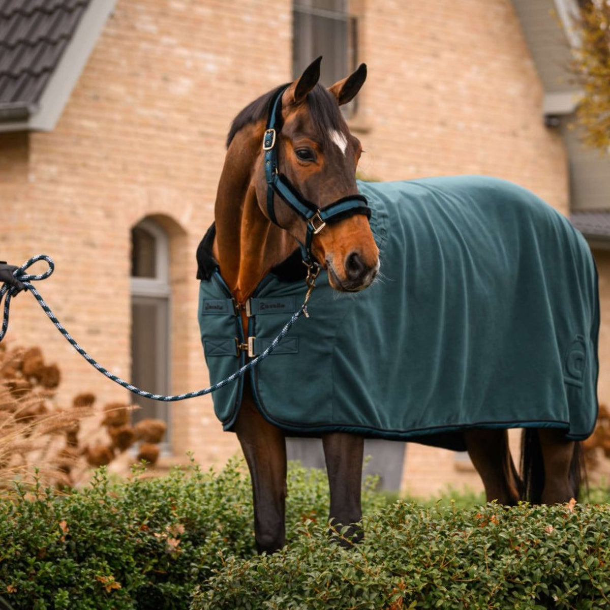 Cavallo Halfter CavalJero mit Fell Dark Peacock