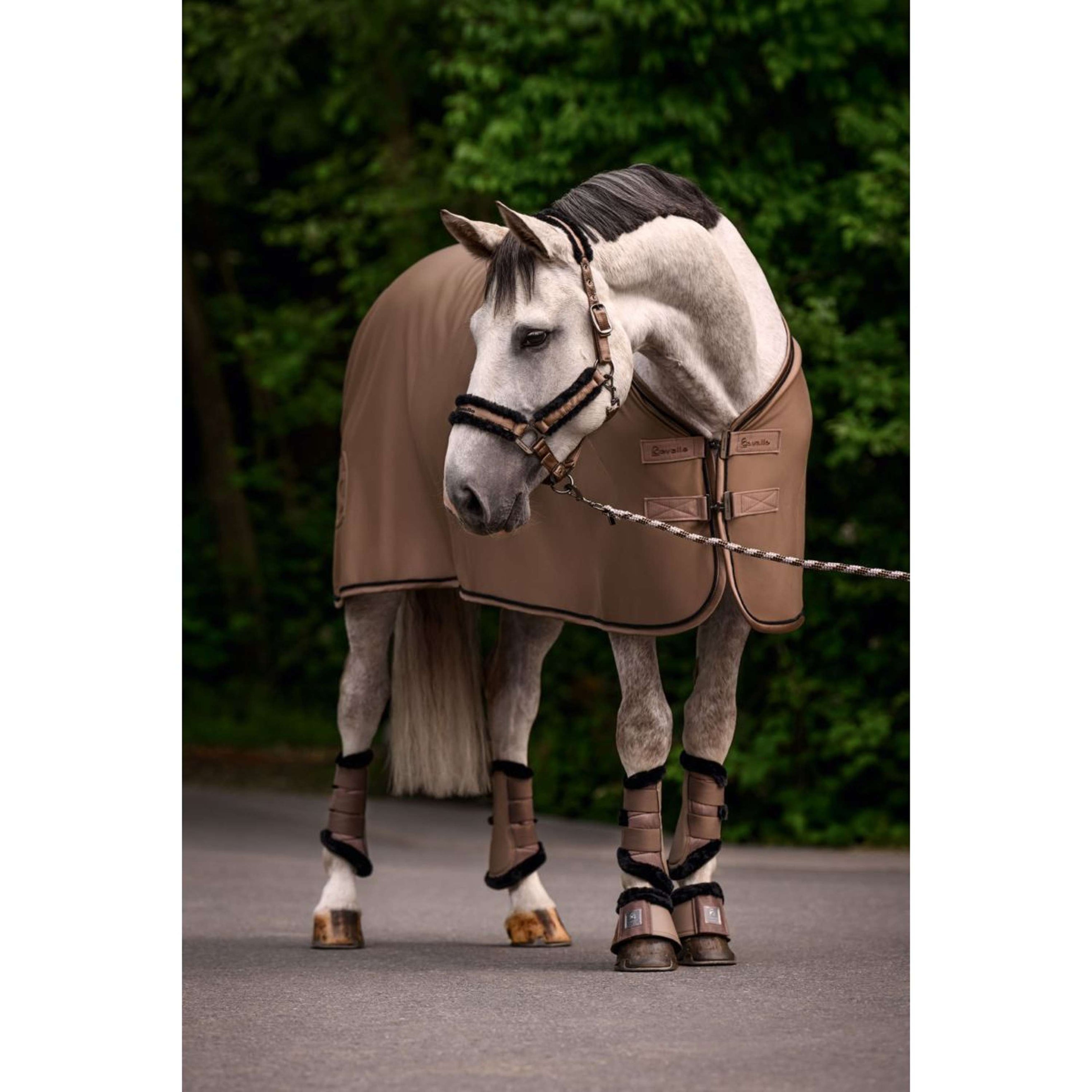 Cavallo Fleecedecke CavalQuick Dry Cooler Mocha Latte Cavallo Fleecedecke CavalQuick Dry Cooler Mocha Latte