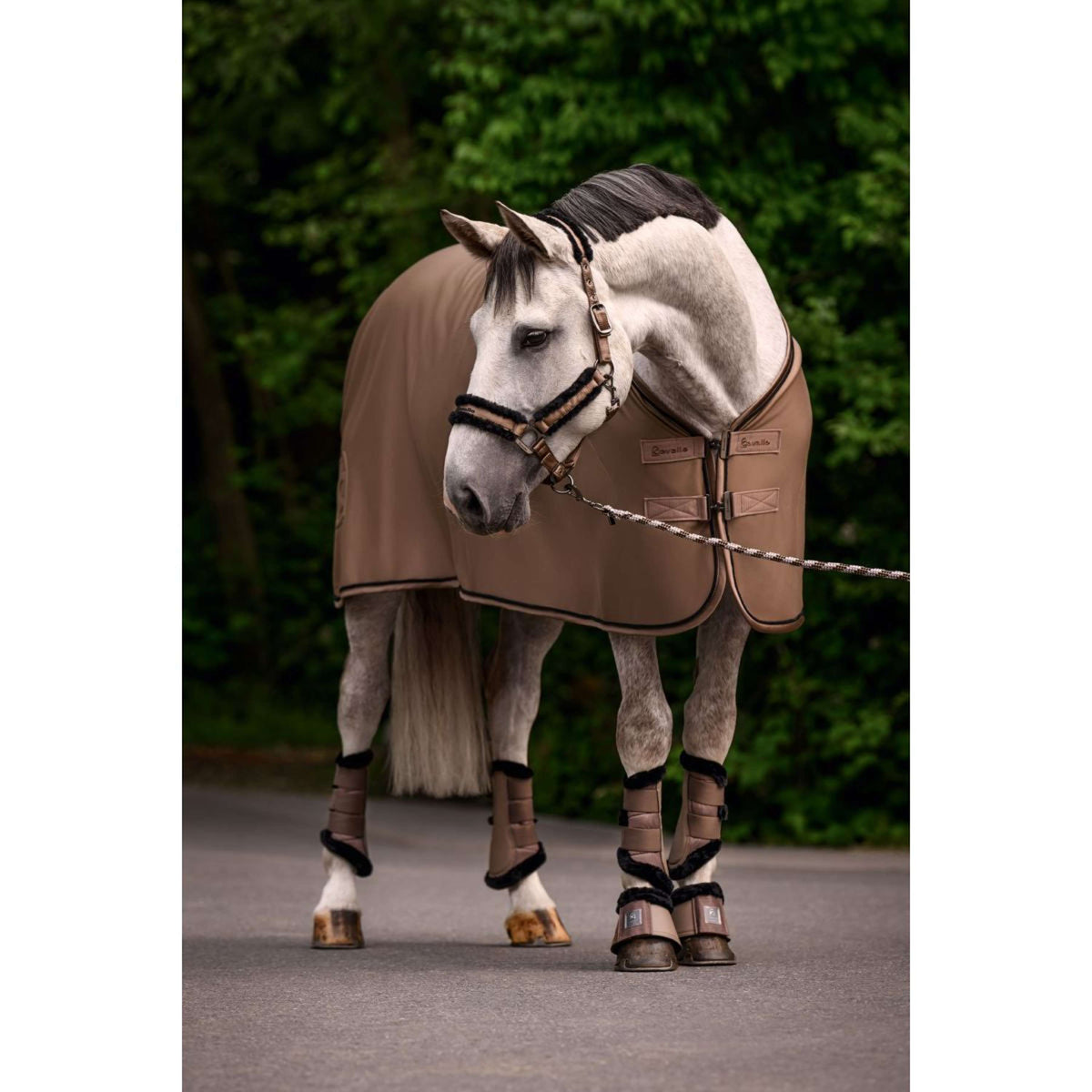 Cavallo Fleecedecke CavalQuick Dry Cooler Mocha Latte