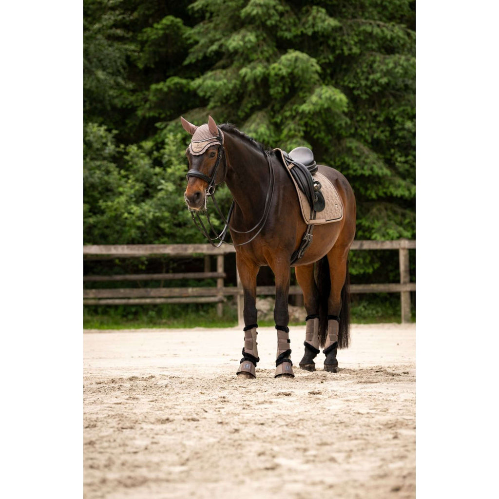 Cavallo Fliegenhaube CavalPerla Mocha Latte