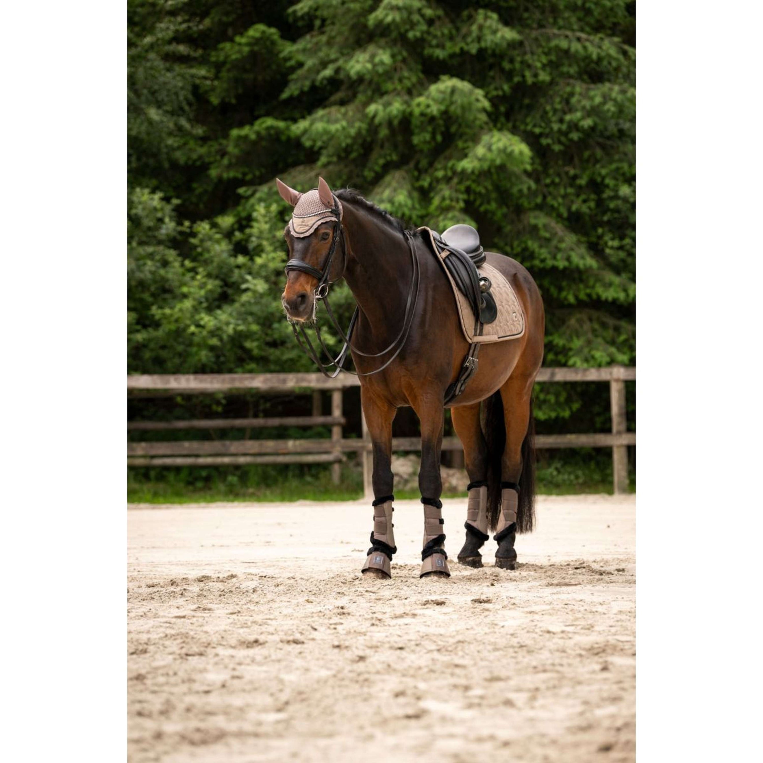 Cavallo Fliegenhaube CavalPerla Mocha Latte