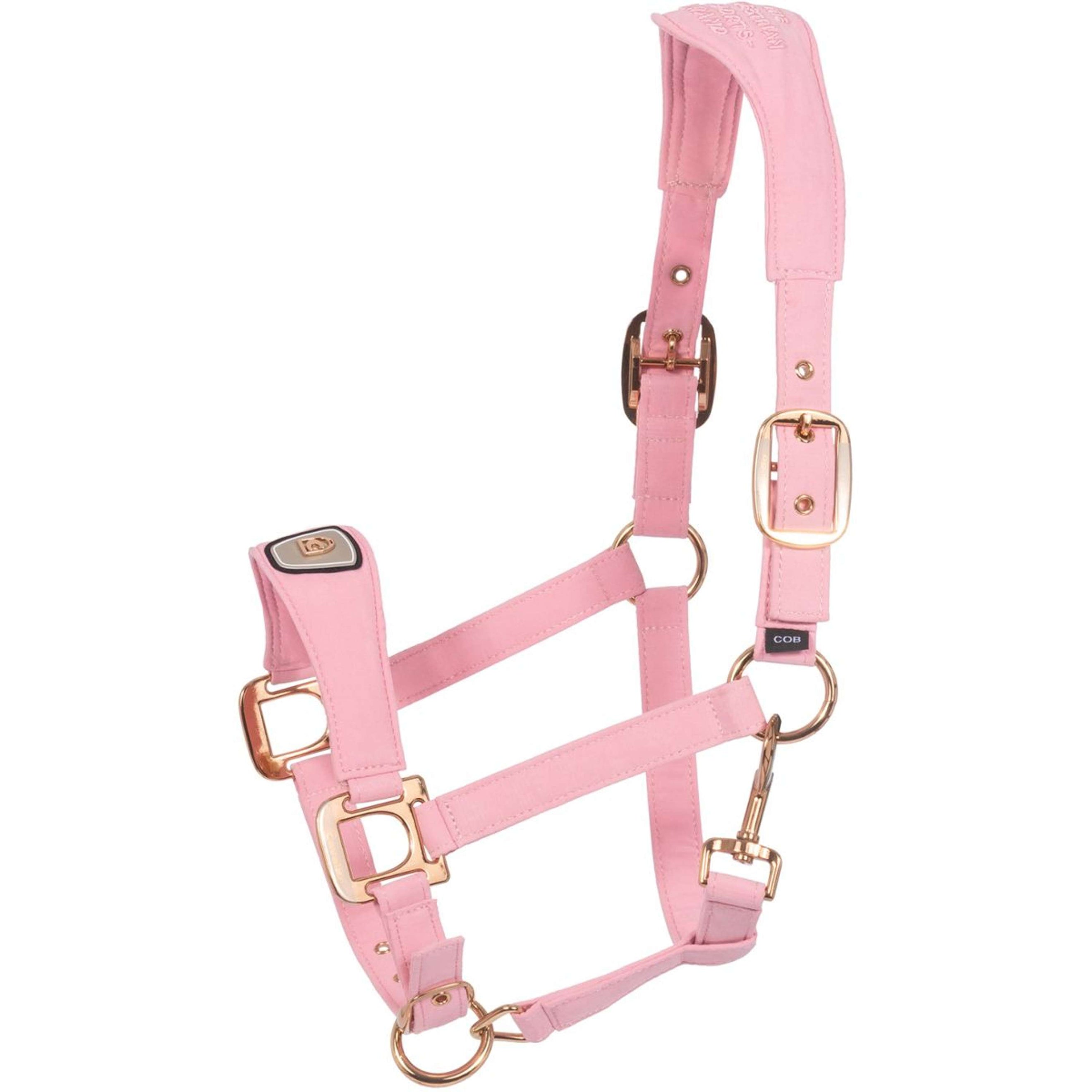 Cavallo Halfter CavalPawel Powder Pink