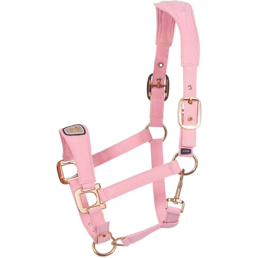 Cavallo Halfter CavalPawel Powder Pink