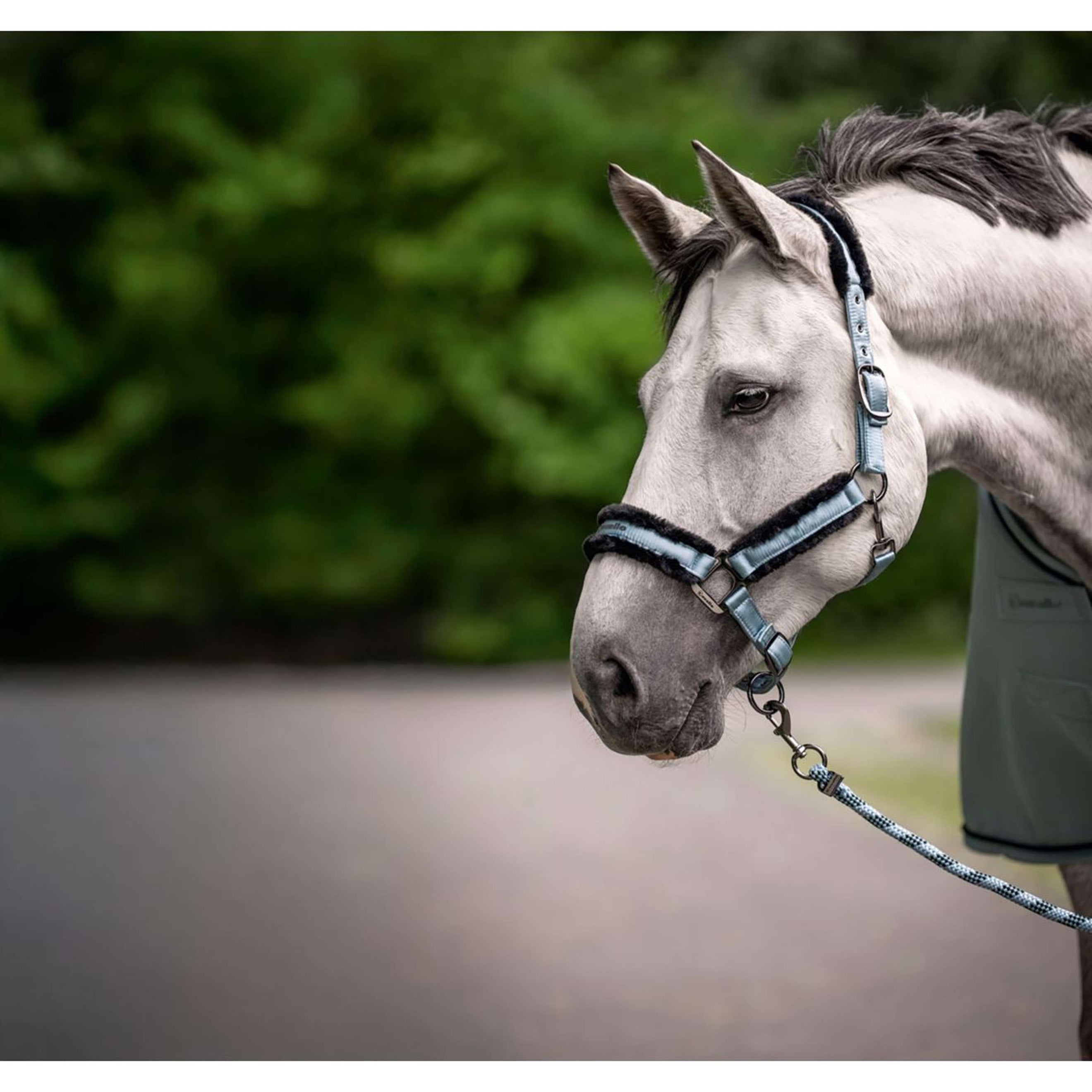 Cavallo Halfter CavalJero Soft Aqua Cavallo Halfter CavalJero Soft Aqua