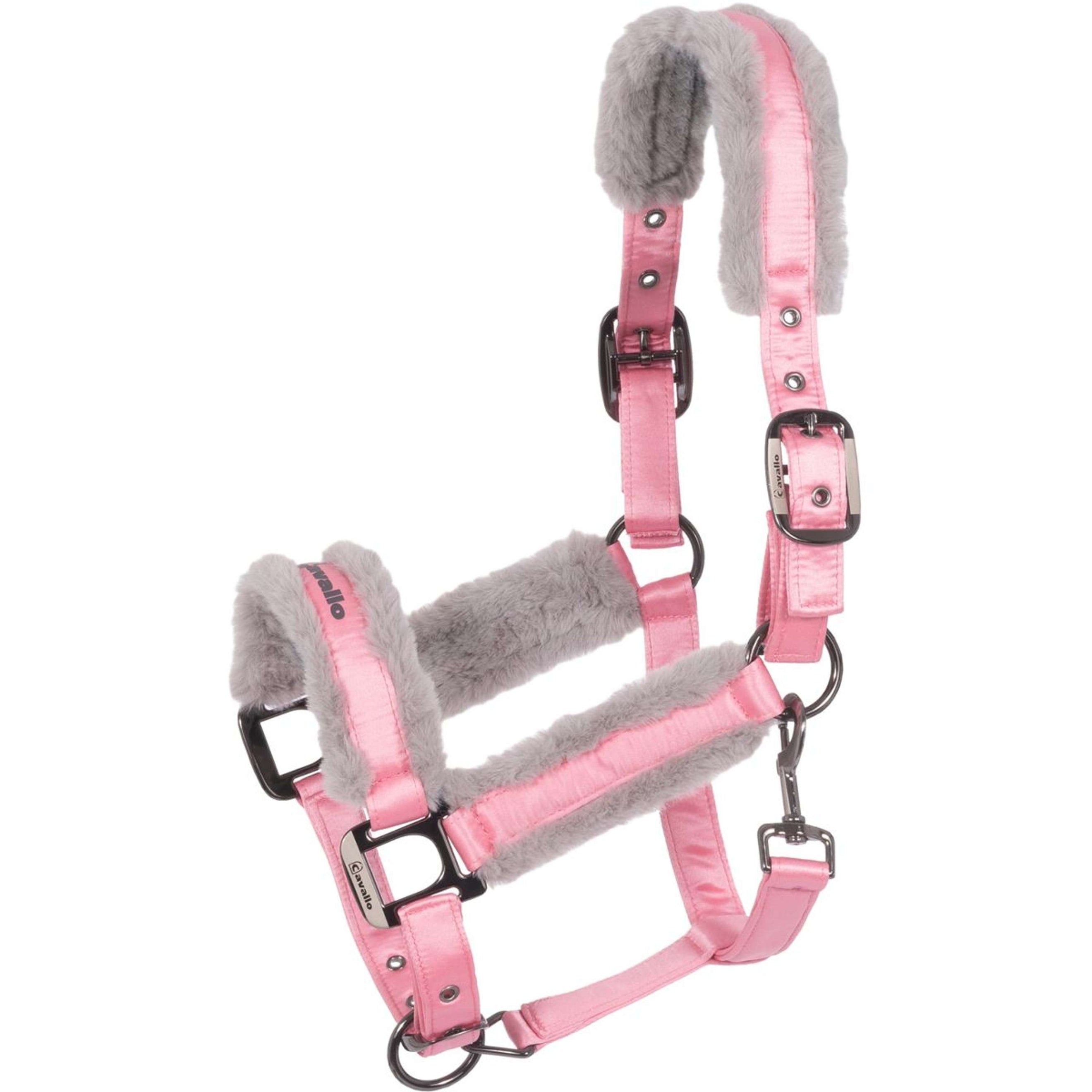 Cavallo Halfter CavalJero Powder Pink