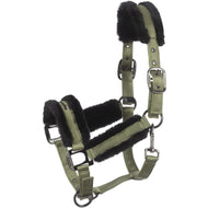 Cavallo Halfter Cavaljero Tea Leaf