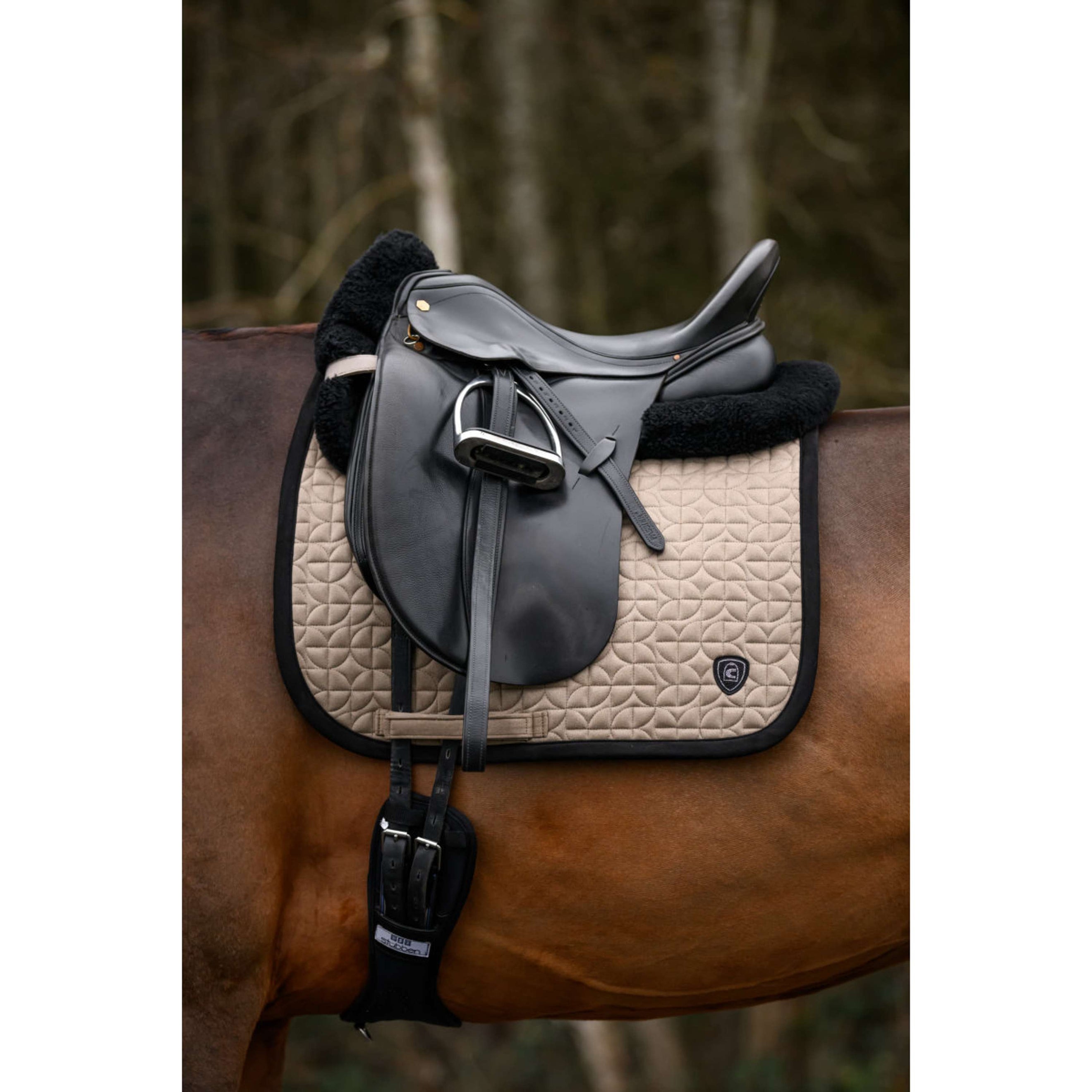 Cavallo Schabracke CavalRory Dressur Latte
