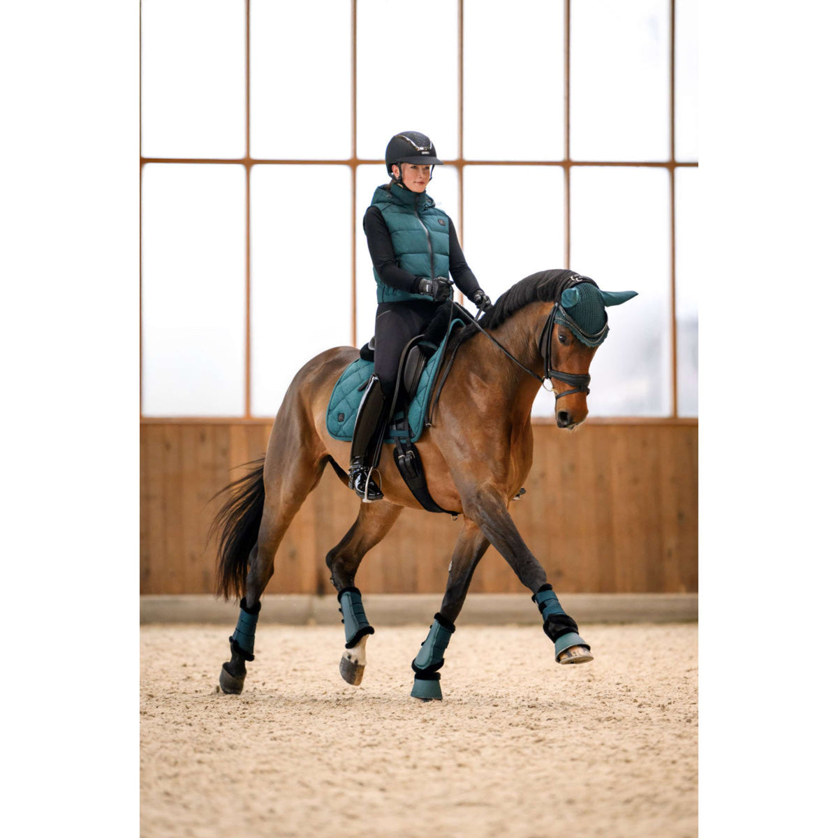 Cavallo Hufglocken CavalJodi Dark Peacock