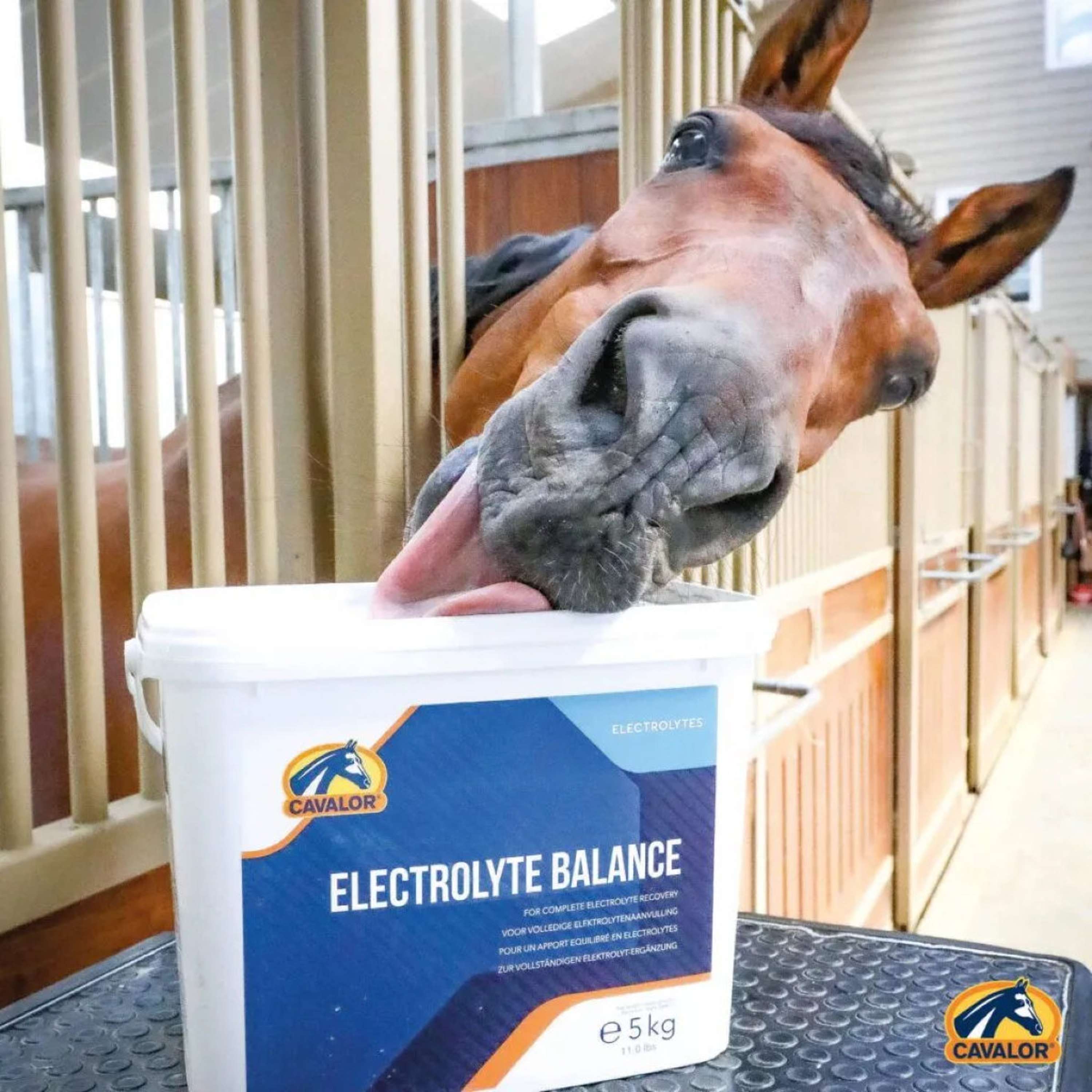 Cavalor Electolyte Balance