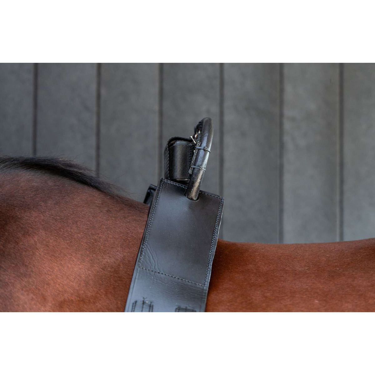 Birth Alarm Classic Komplett