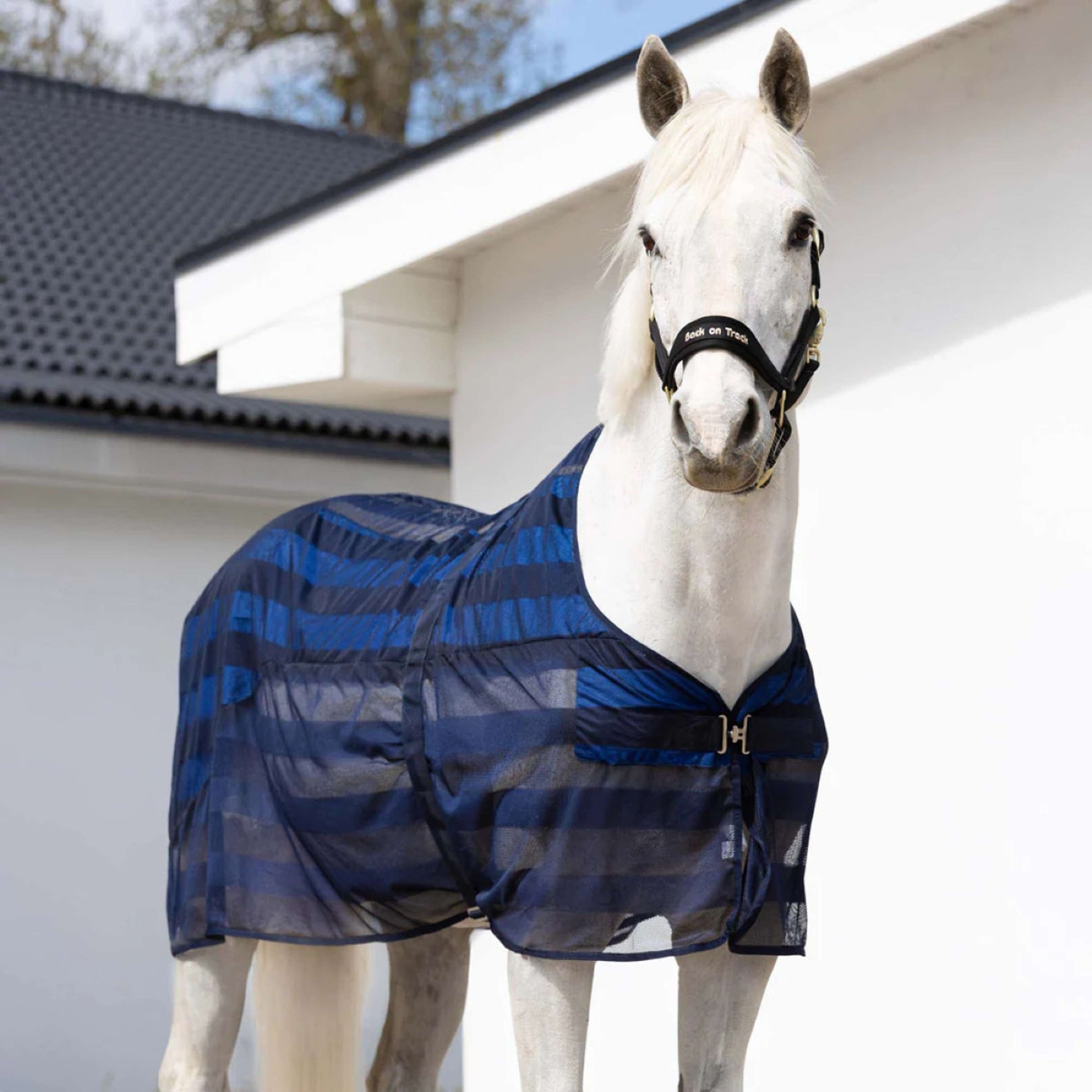 Cool on Track Feinmaschig Decke Blau