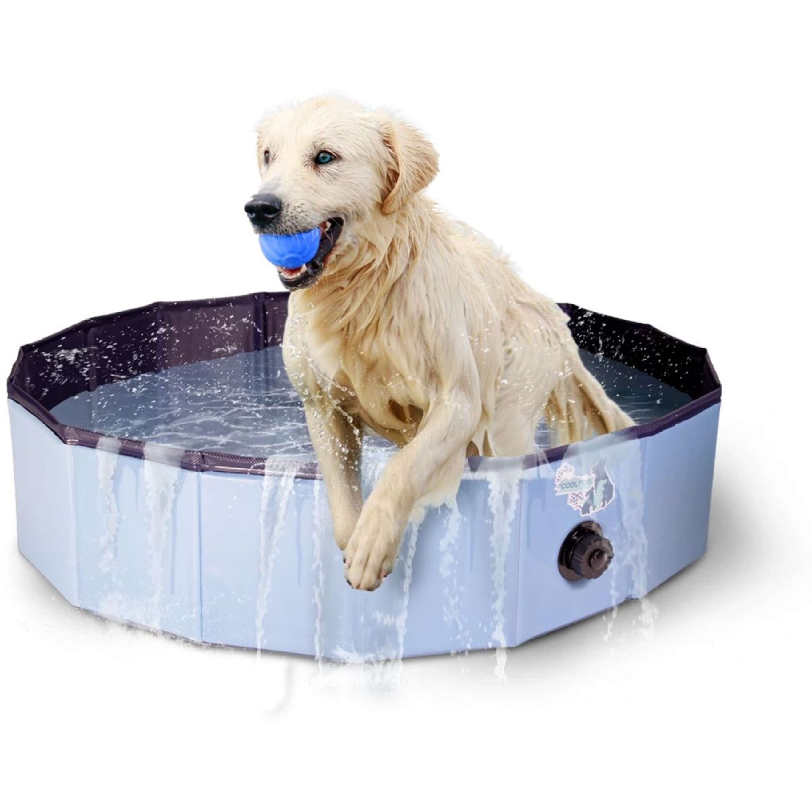Coolpets Schwimmbad