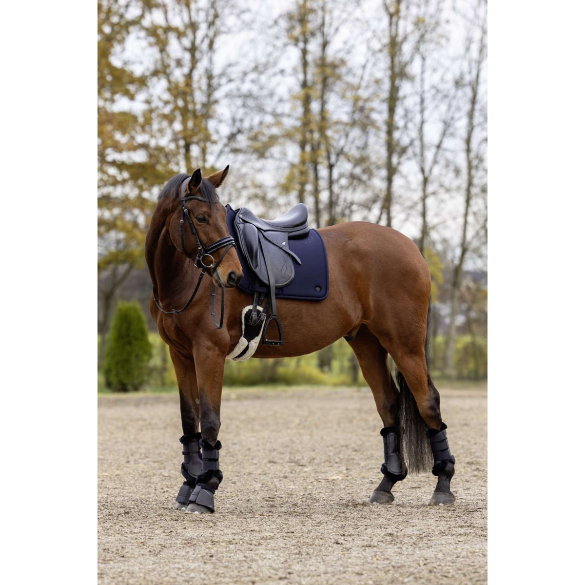 Covalliero Schabracke MemoryRide AW25 Dressur Dark Navy