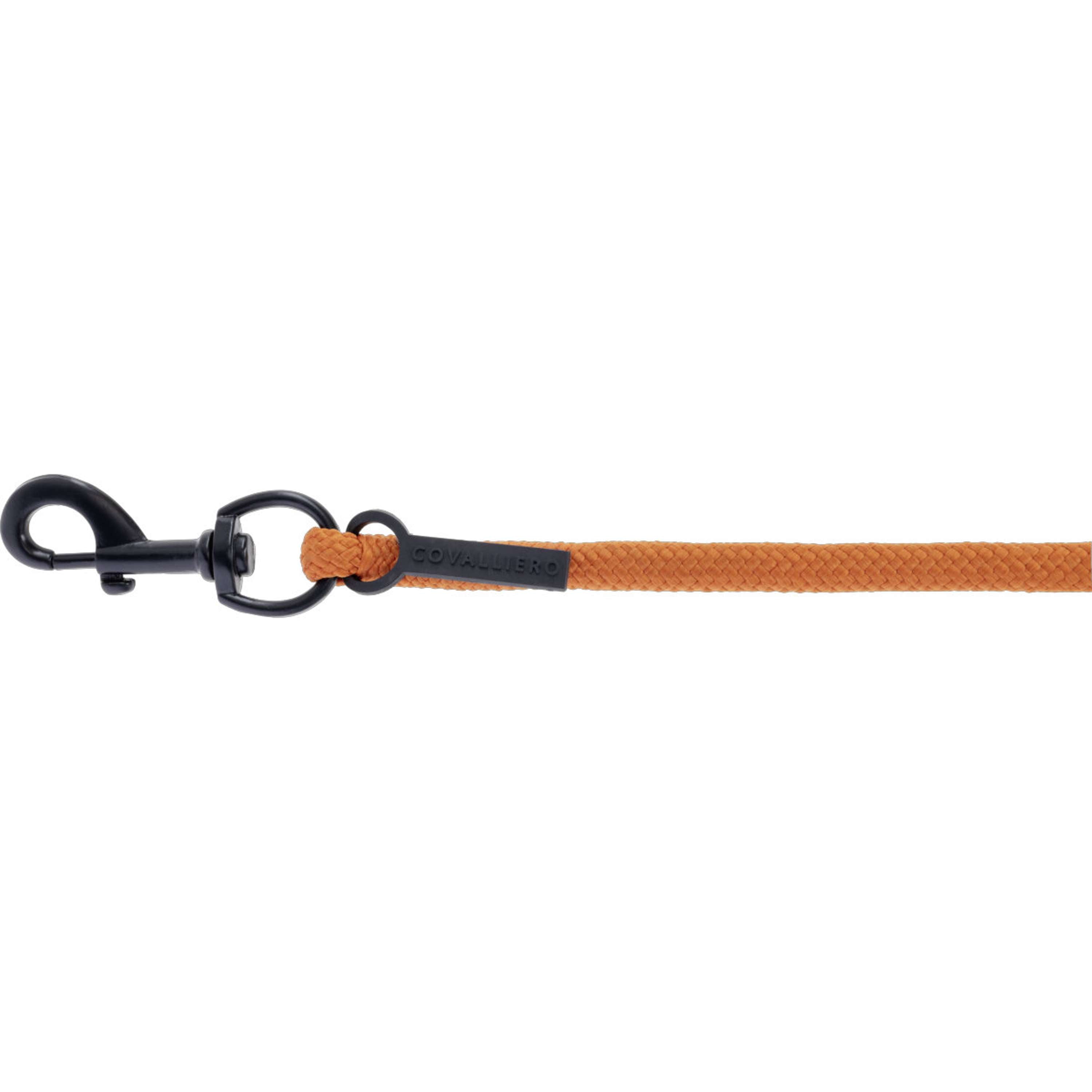 Covalliero Führstrick AW26 mit Karabinerhaken Orange
