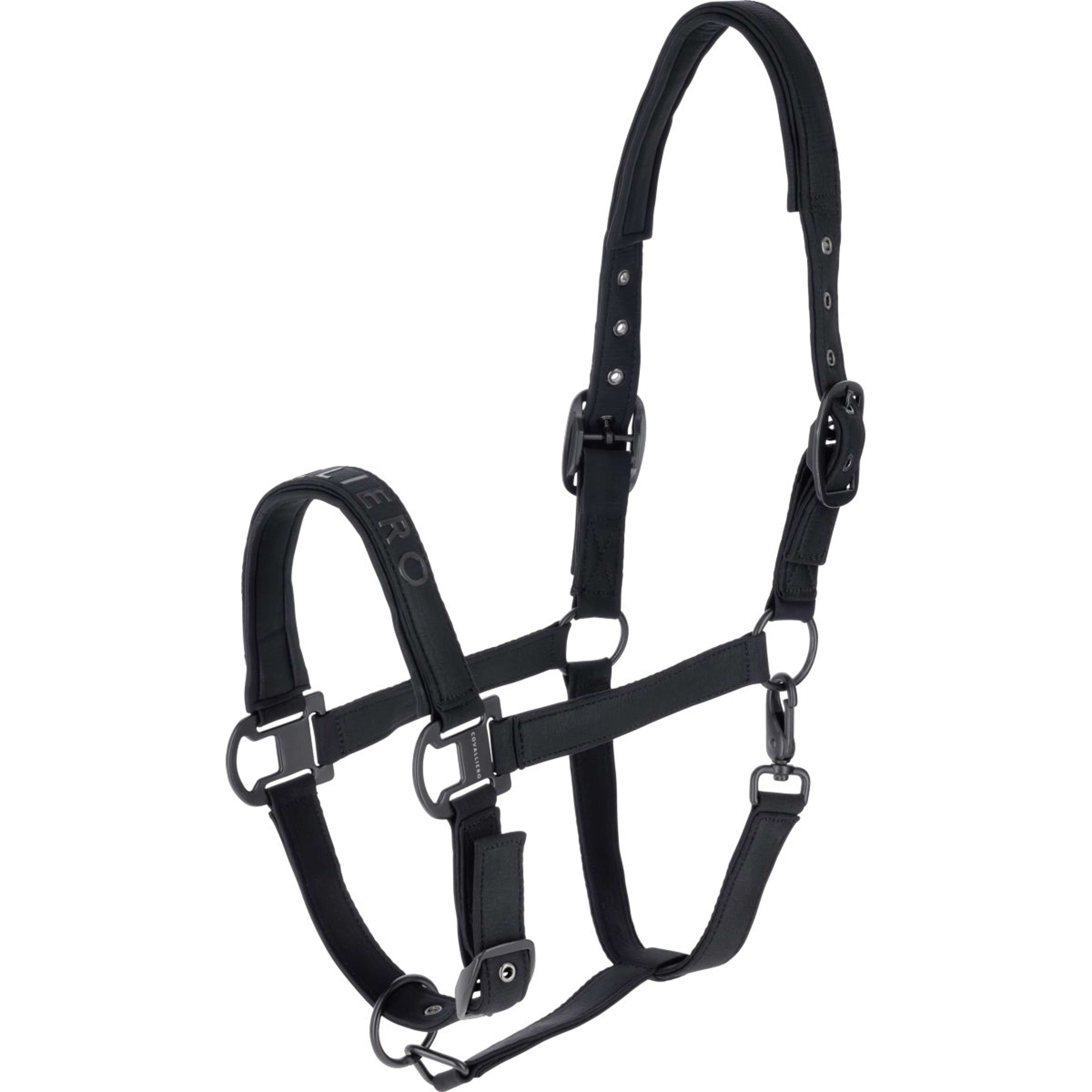 Covalliero Halfter AW26 Schwarz